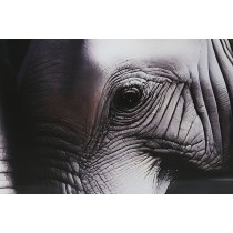 Painting Home ESPRIT Black Grey Printed 150 x 0,4 x 100 cm