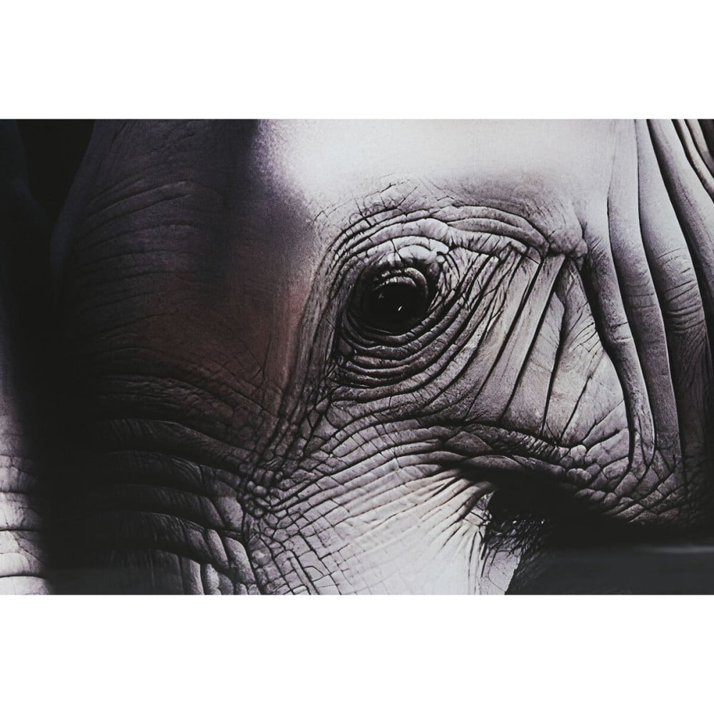 Painting Home ESPRIT Black Grey Printed 150 x 0,4 x 100 cm