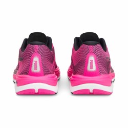 Laufschuhe für Erwachsene Puma Velocity NITRO 2 Pink Damen