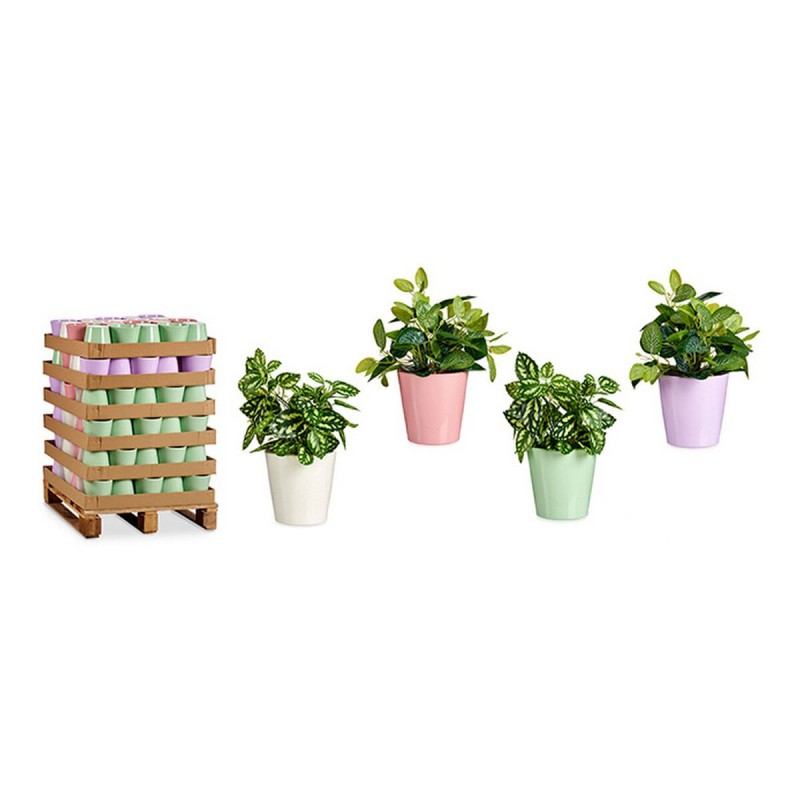 Plant pot Ibergarden LINCE-CLAROS White Green Pink Lilac Clay 16,5 x 16 x 16,5 cm (120 Units)