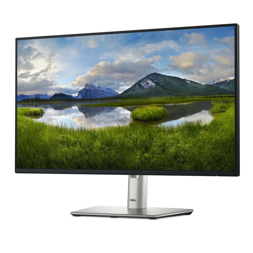 Monitor Dell P P2425HE Full HD 24" 100 Hz