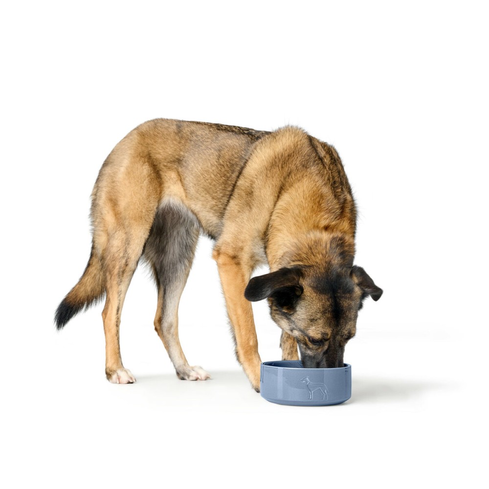 Futternapf für Hunde Hunter OSBY GLAZED Blau aus Keramik 1,9 L