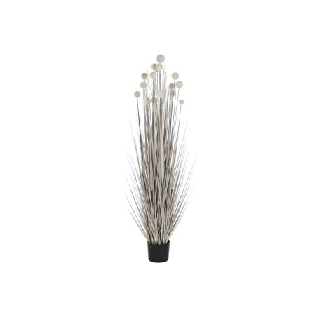 Decorative Plant DKD Home Decor Pompoms (45 x 45 x 150 cm)