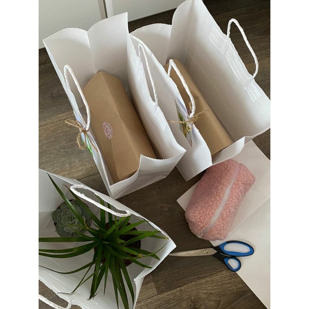 Sac en papier Algon Blanc 20,6 x 11 x 27 cm 3 Pièces (24 Unités)