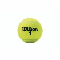 Balles de Tennis Wilson Championship XD (3 pcs)