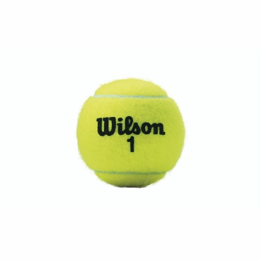 Balles de Tennis Wilson Championship XD (3 pcs)