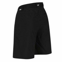 Sport Shorts Regatta Chaska Short II Berg