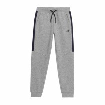 Adult Trousers 4F JSPMD002 Men