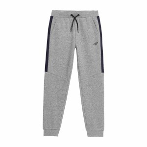 Adult Trousers 4F JSPMD002 Men