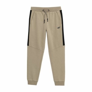 Adult Trousers 4F JSPMD002 Men