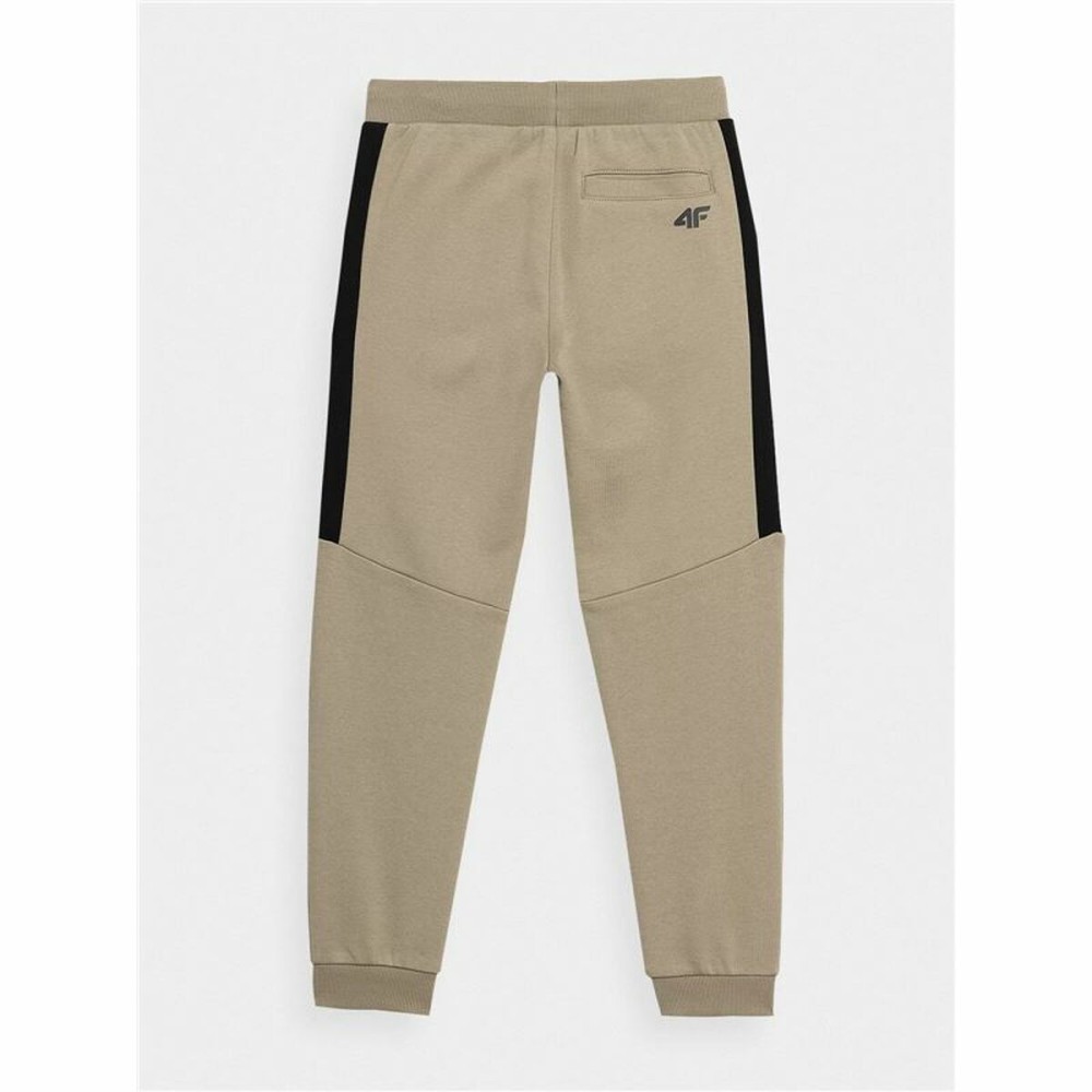 Adult Trousers 4F JSPMD002 Men