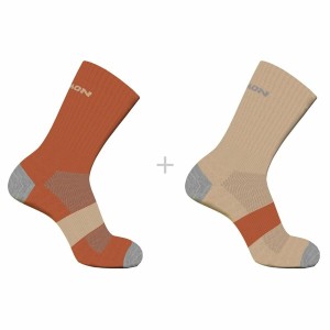 Sports Socks Salomon Evasion Crew 2 Units