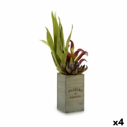 Plante décorative Ibergarden Flowers Garden 10 x 50 x 10 cm Marron Vert (4 Unités)