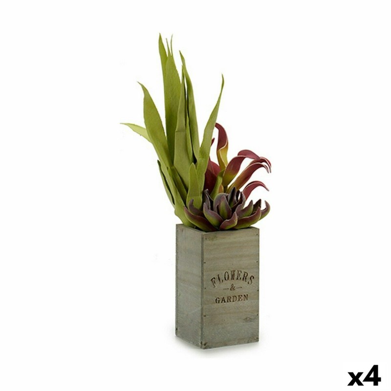 Decorative Plant Ibergarden Flowers Garden 10 x 50 x 10 cm Brown Green (4 Units)