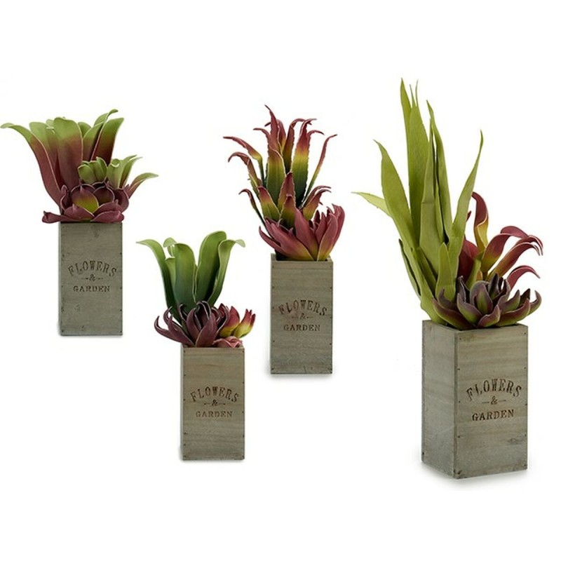 Plante décorative Ibergarden Flowers Garden 10 x 50 x 10 cm Marron Vert (4 Unités)