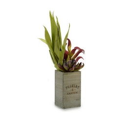 Plante décorative Ibergarden Flowers Garden 10 x 50 x 10 cm Marron Vert (4 Unités)