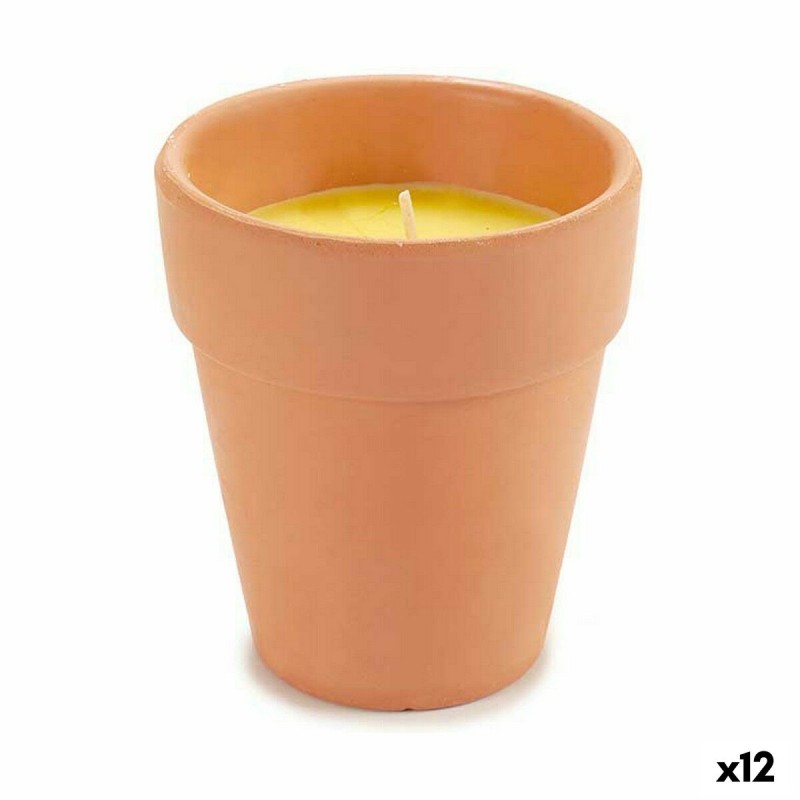 Bougie Ibergarden HL-WG80C Citronnelle (12 Unités)