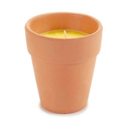 Candle Ibergarden HL-WG80C Citronela (12 Units)