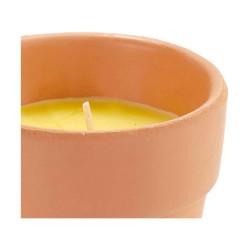 Candle Ibergarden HL-WG80C Citronela (12 Units)