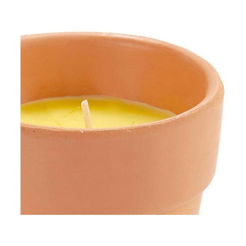 Candle Ibergarden HL-WG80C Citronela (12 Units)