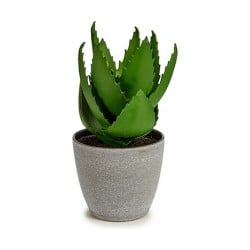 Dekorationspflanze Aloe Vera 15 x 23,5 x 15 cm Grau grün Kunststoff (6 Stück)