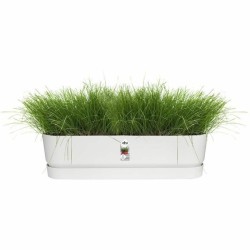 Jardinière Elho   Blanc 70 cm Plastique