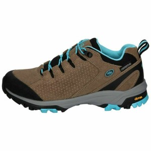 Men's Trainers Brütting Trish Low Brown