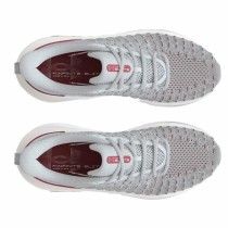 Chaussures de Running pour Adultes Under Armour Infinite Elite Gris