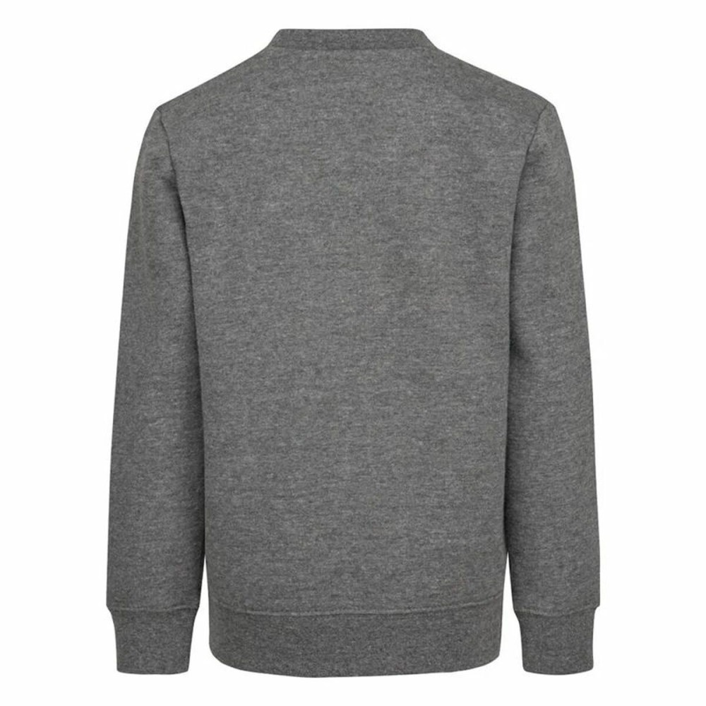 Children’s Sweatshirt without Hood Nike Grey