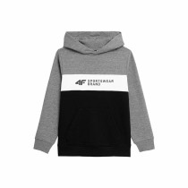 Children’s Sweatshirt 4F JBLM003 Grey