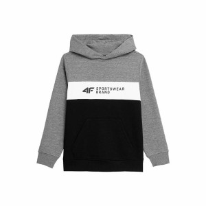 Children’s Sweatshirt 4F JBLM003 Grey