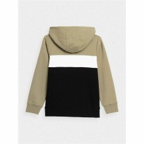 Children’s Sweatshirt 4F JBLM003 Brown