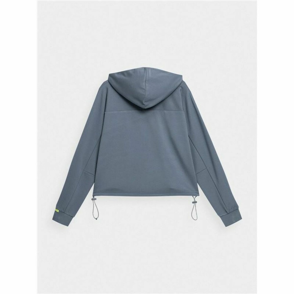 Women’s Hoodie 4F Grey