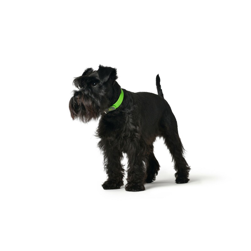 Collier pour Chien Hunter Convenience 23-31 cm Vert XS/S