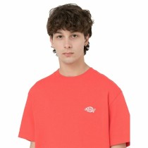 T shirt à manches courtes Dickies Summerdale Corail Homme