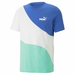 Herren Kurzarm-T-Shirt Puma Power Cat Blau