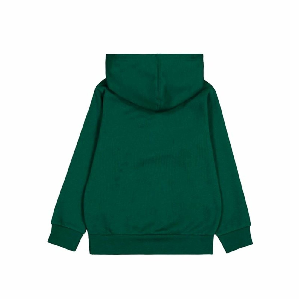 Jungen Sweater mit Kapuze Champion Olive