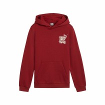 Jungen Sweater mit Kapuze Puma Essentials+ Mid 90S