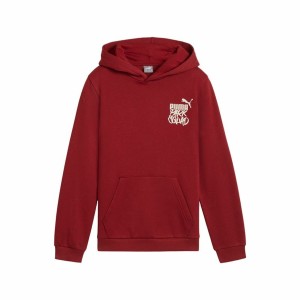 Jungen Sweater mit Kapuze Puma Essentials+ Mid 90S