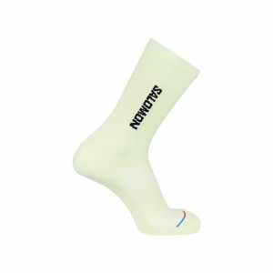 Sports Socks Salomon 365 Crew