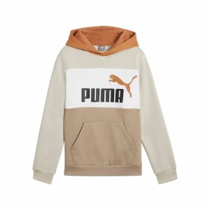 Jungen Sweater mit Kapuze Puma Essentials Block Braun