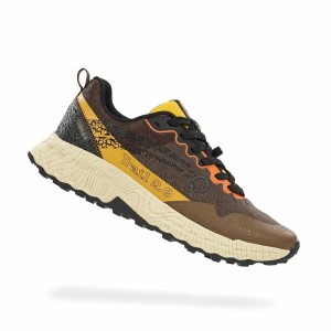 Running Shoes for Adults Atom AT158 Terra V2 Brown