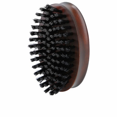 Brosse Lussoni   Oblongue Barbe