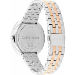 Ladies' Watch Calvin Klein 25200337