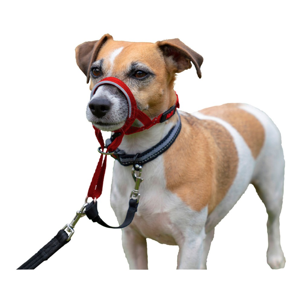 Dressurhalsband für Hunde Company of Animals Halti Maulkorb (40-54 cm)
