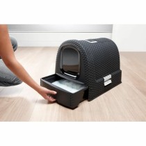 Cat Litter Box Curver Anthracite 51 x 38,5 x 39,5 cm Plastic (Plastic)