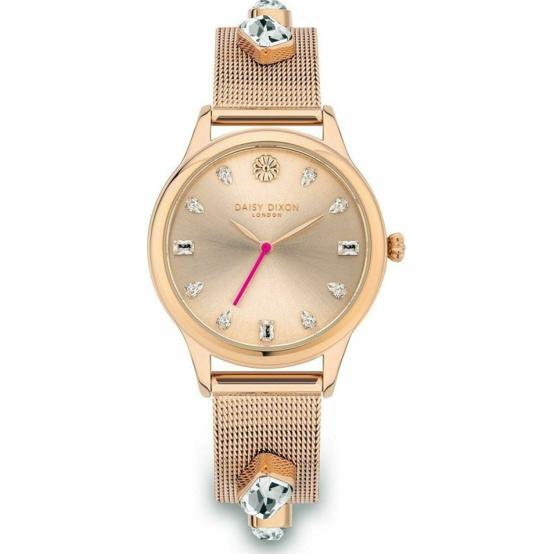 Montre Femme Daisy Dixon DD105RGM (Ø 35 mm)