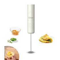 Mini Whisk and Frother Kiwi