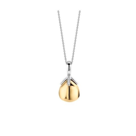 Ladies' Necklace Ti Sento 6765SY