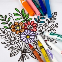 Kit de Dessin Cra-Z-Art (6 Unités)